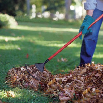 product-400-400 product-400-400