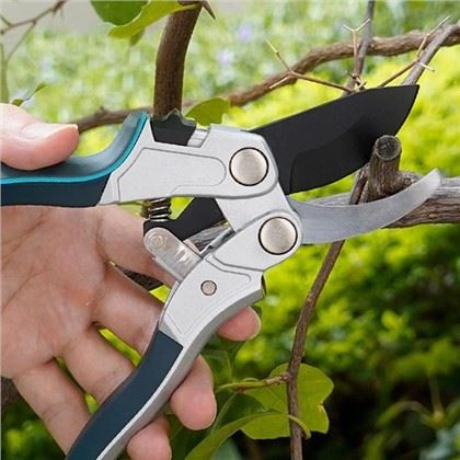 Вибір ідеального секатора для ваших яблунь: посібник для садівника