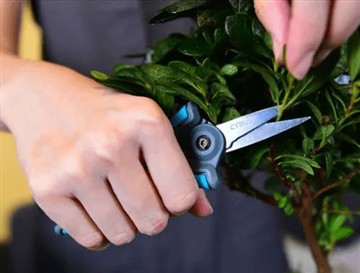 Чому ми випустили нові та більші ножиці