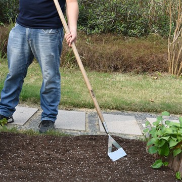 Переваги відкриття городу