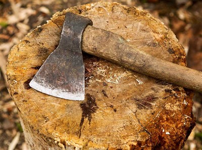 Інструменти для різання дерев і захисне спорядження