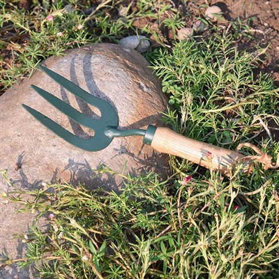 Щоденні пригоди садових інструментів