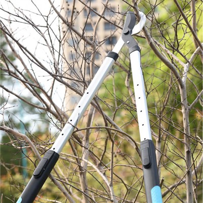 Садівництво для зайнятих людей: поради щодо догляду за садом за обмежений час