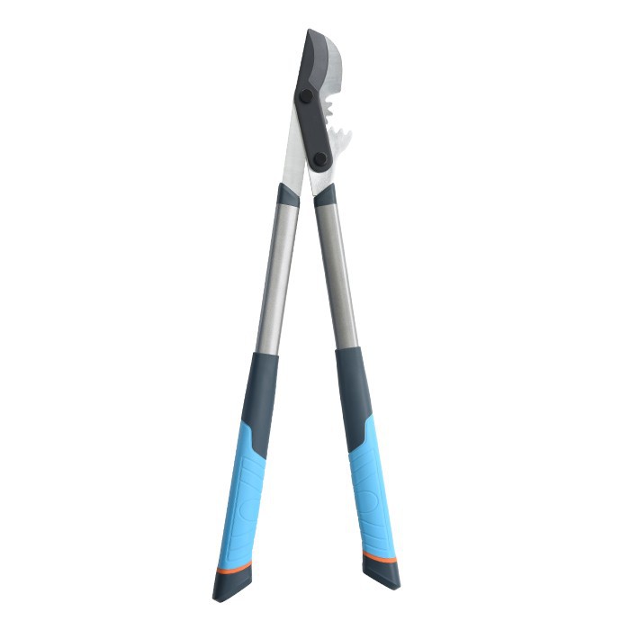 Сучкорізи з довгою ручкою