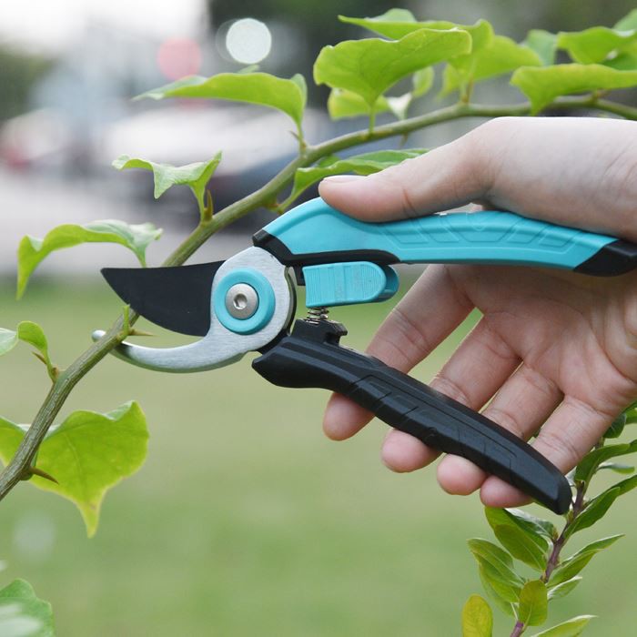 Pruner Scissors