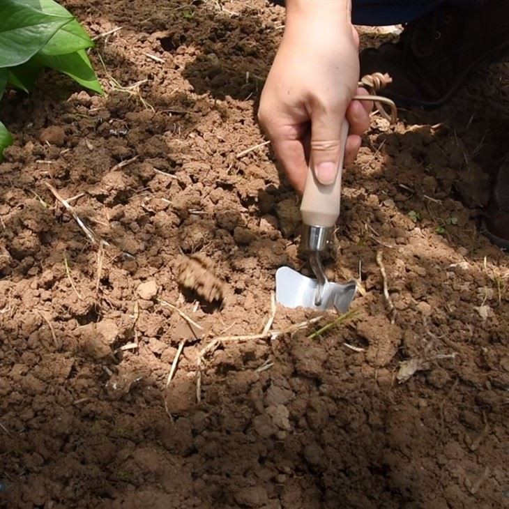 Transplanter Garden Trowel