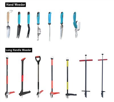 Культивування зеленого: запровадження сталого розвитку у вашому саду