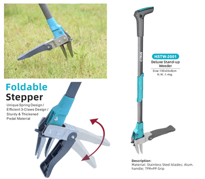 Святкування середини осені по всьому світу: гармонія традицій і садових інстр...