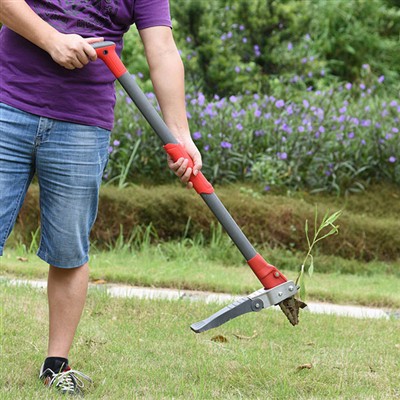Як видалити бур'ян, не нагинаючись?