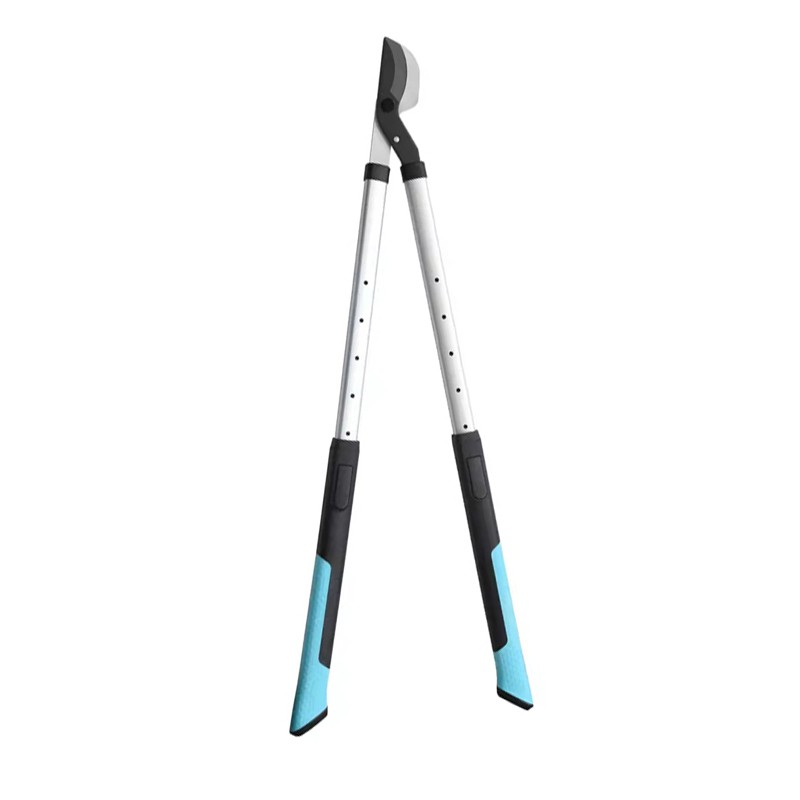 Довго оброблені лопперами