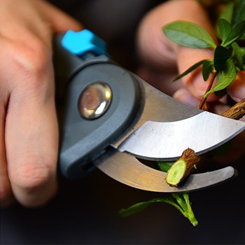 bypass pruner bypass pruner